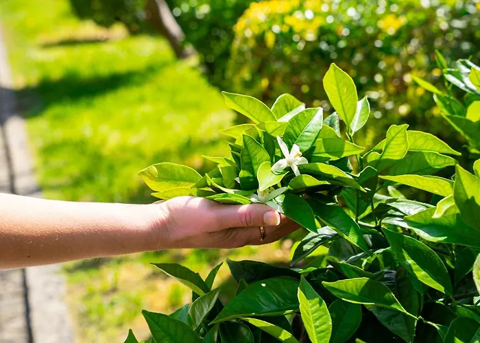 Casa Do Fontao * Amarante